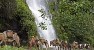 Wasserfall im Osten Bhutans
