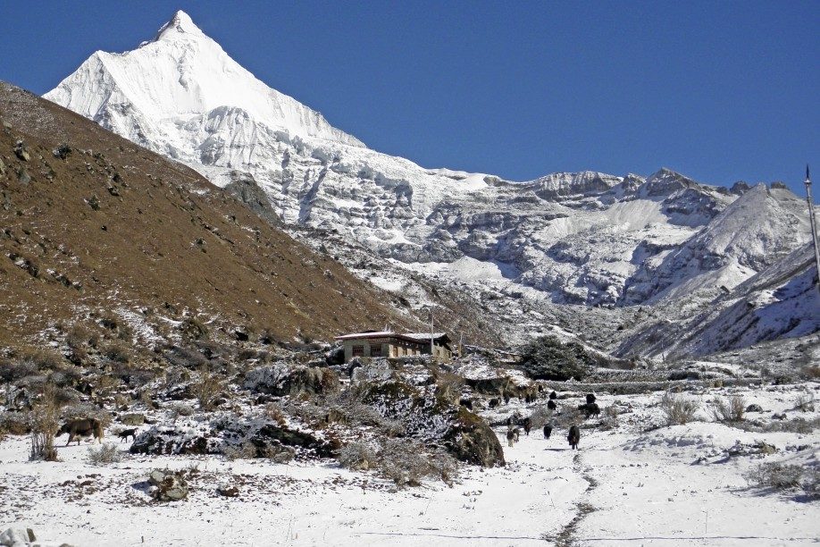 Jomolhari-Trekking vorbei am Jichu Drake (6990 m) in Bhutan